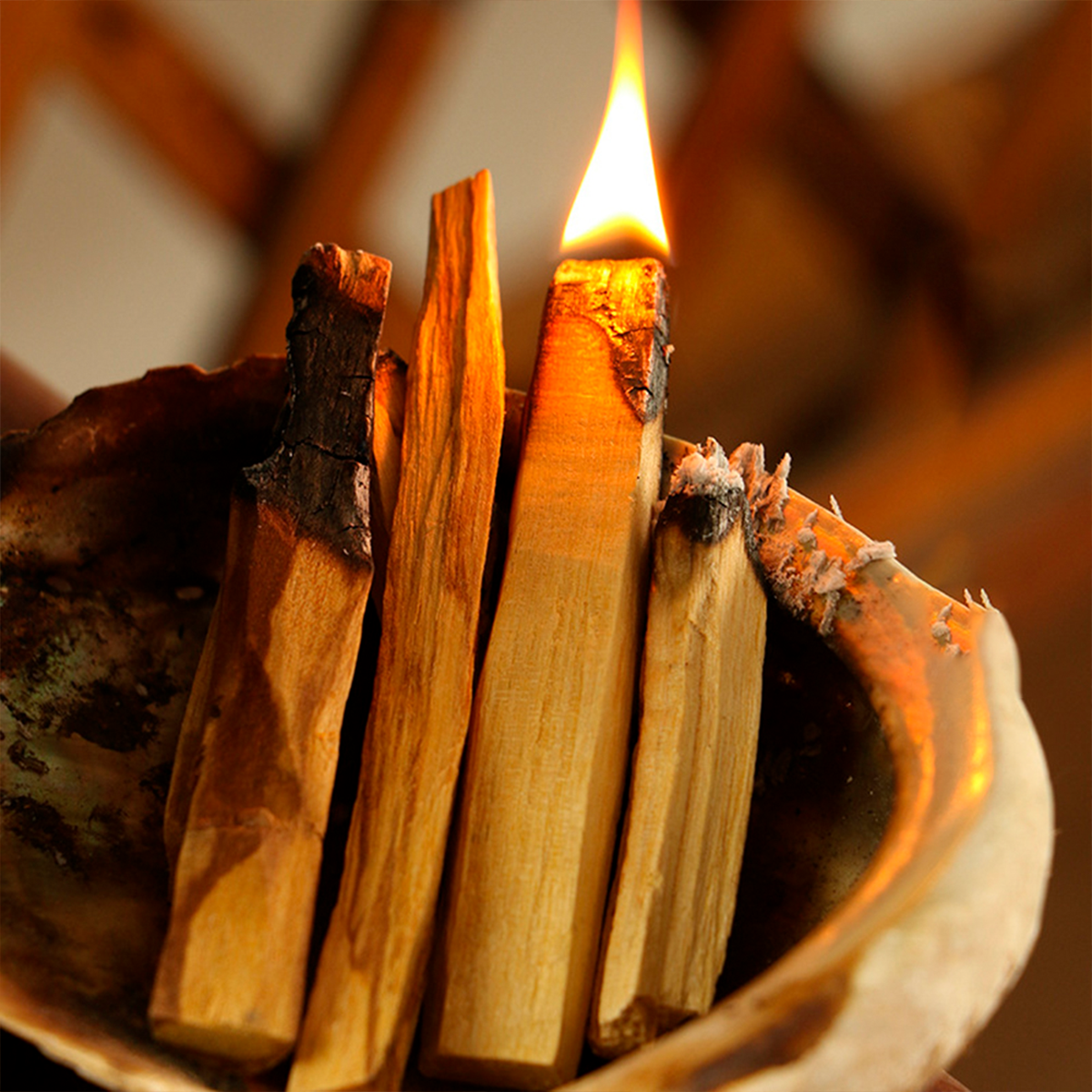 Palo Santo Sahumerio de Limpieza Energética. 
